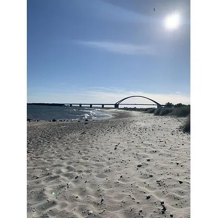 Island Nest Modern Retreat *