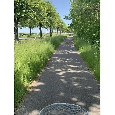 Island Nest Modern Retreat * פהמארן